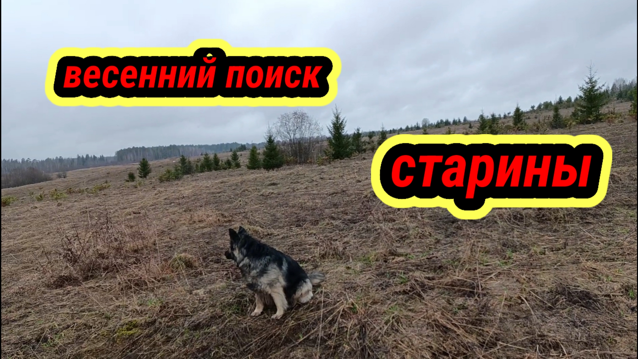 весенний коп ,поломка нивы