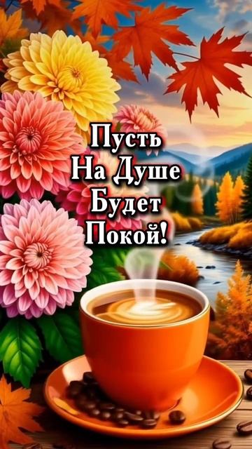 С добрым днем.