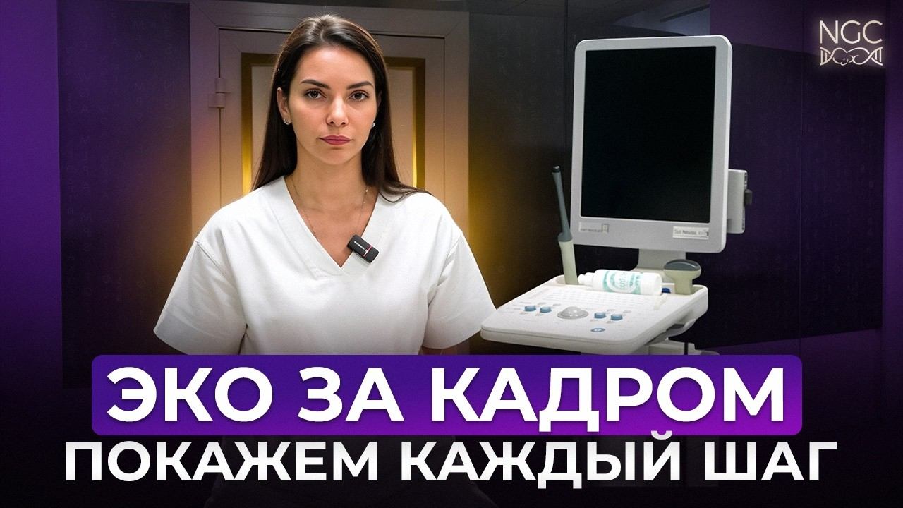 Как на самом деле проходит ЭКО? Показываем весь путь изнутри клиники