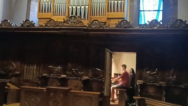 Organ Videos