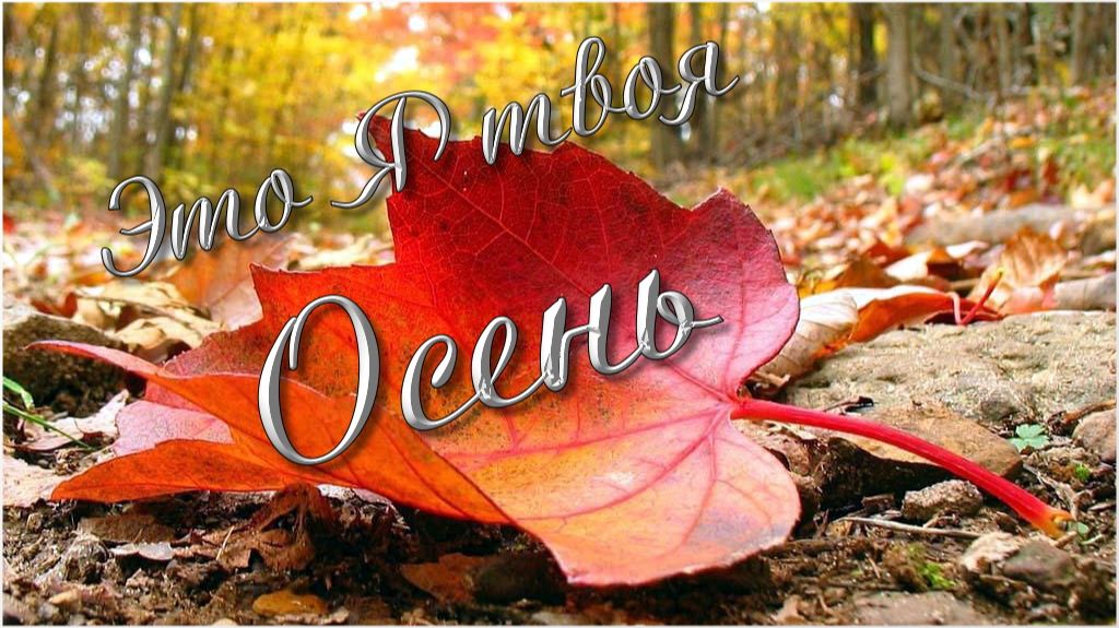 ЗДРАВСТВУЙ СЕНТЯБРЬ 🍁Это я–твоя Осень🍂Прекрасный стихи🎶Очень красивый музыкальный клип для друзей