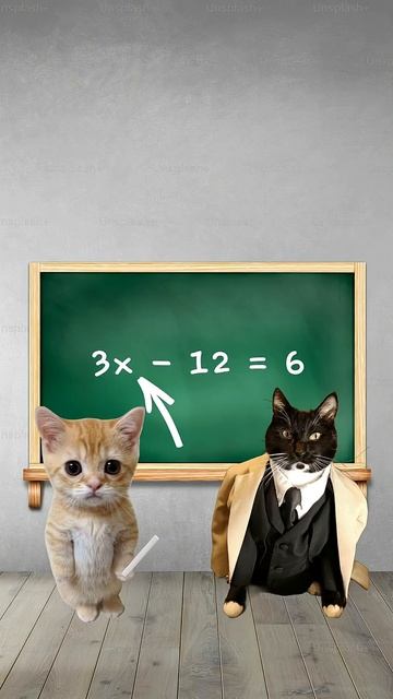 Поясняю на котятах