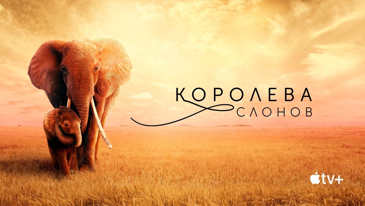 Фильмы 2019 года