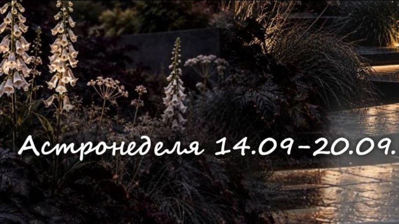 Астронеделя 14.09-20.09.26 Живой эфир с Валерией Пузыревой