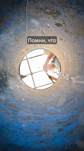 помой миски осенью