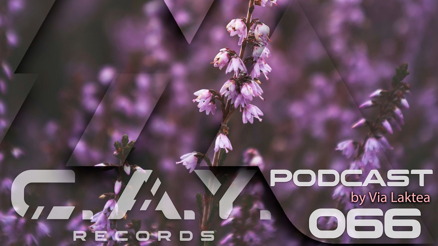 C.A.Y. Records podcast by Via Laktea