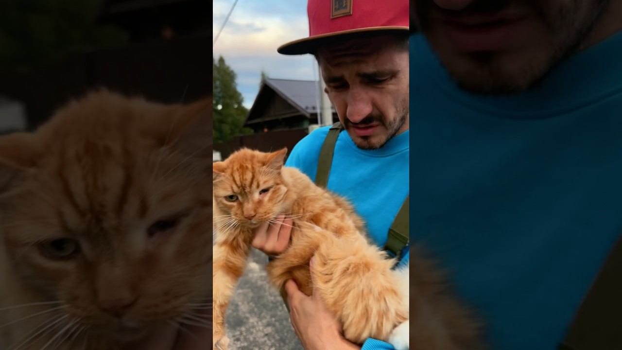 Спас котика… ❤️❤️❤️продолжение следует