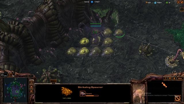 #starcraft #starcraft2  ⁨@Blizzard⁩  2026-09-09 20-52-42