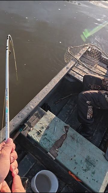 ОГРОМНЫЙ СОМЯРА ТАСКАЛ НАШУ ЛОДКУ. НИЧЕГО НЕ МОЖНМ СДЕЛАТЬ!