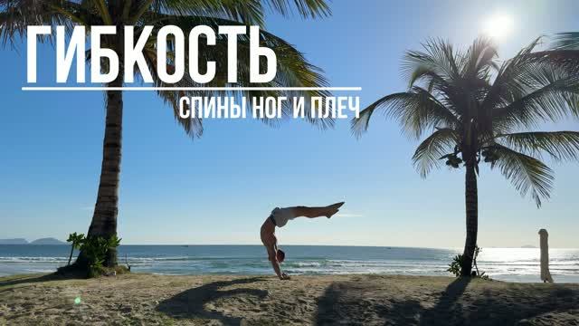 Гимнастика, растяжка, йога