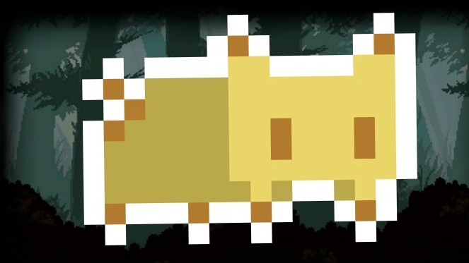 Nameless cat