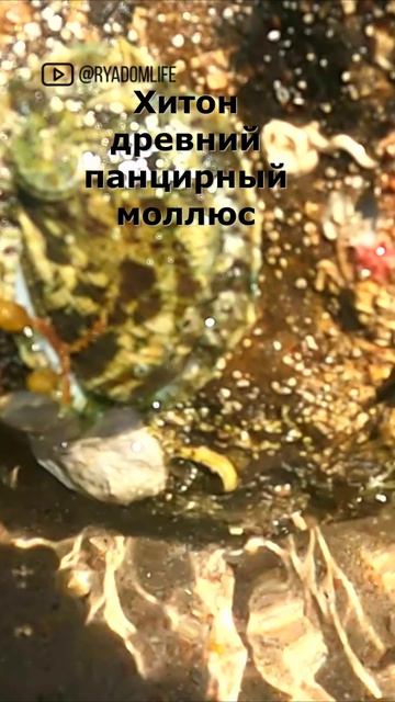 Путешествия. Мир РЯДОМ