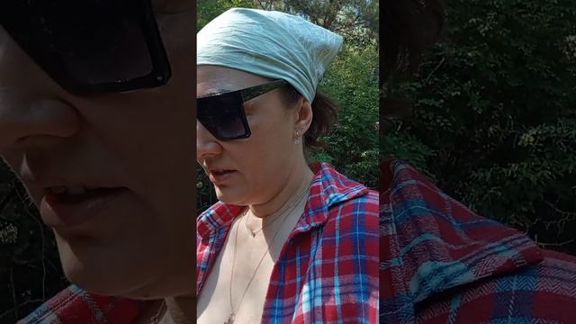 Наши приключения на сухогрузе Rio