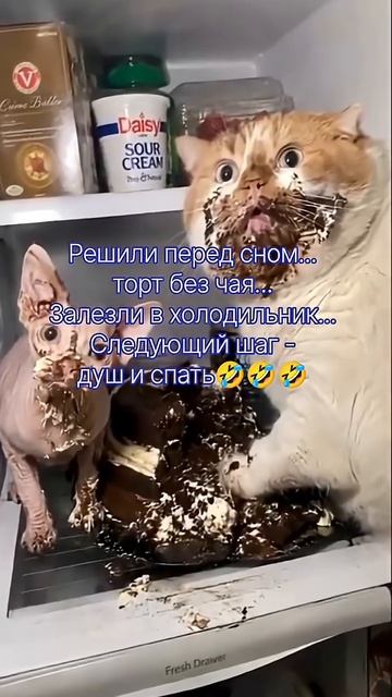 ЭТО КАПЕЦ!🤣🤣🤣