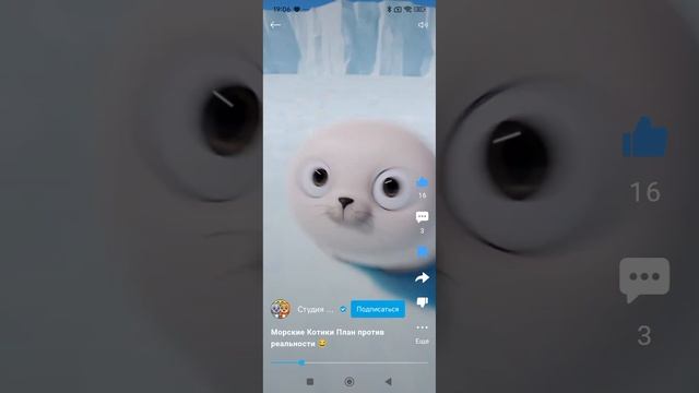 Sealook Popipopipopipopi 6