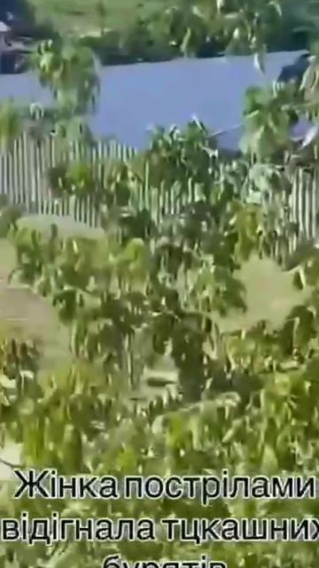 ������� ������� �������� �� ����������