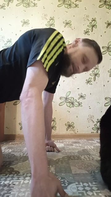 Распознание комплексов с Чернушкой #rochevpress #чернаякошка #осознание #психология