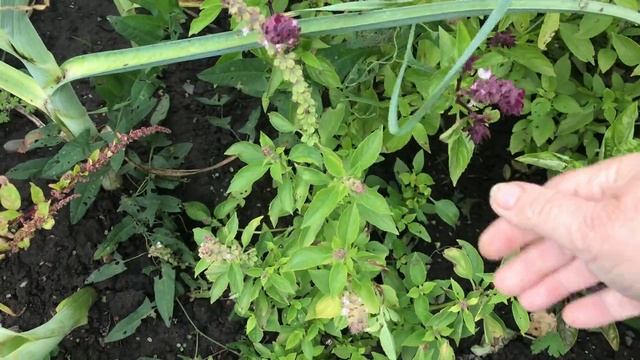 Мой выходной день. Закупка продуктов. Всего монемногу.