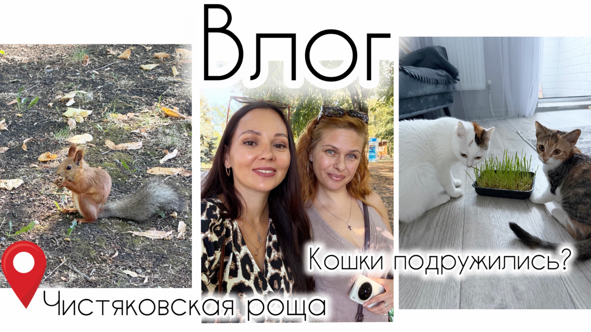Будьте с ними осторожны! Сентябрь в Краснодаре 🍁Мои будни