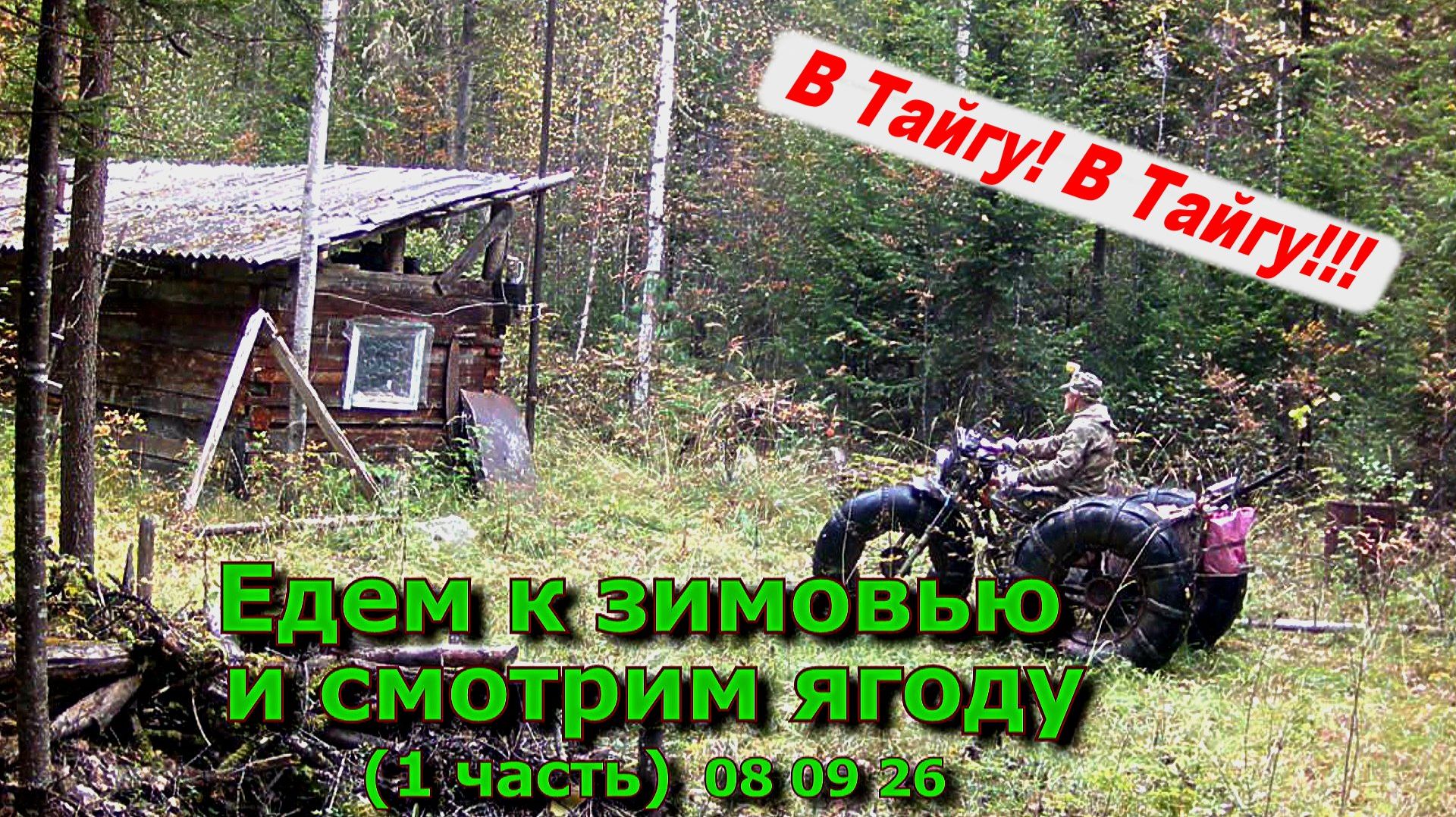 Едем к зимовью и смотрим ягоду (1 часть) 08 09 26