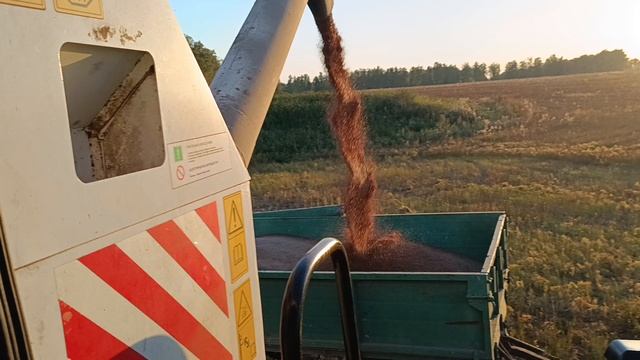Начало уборки льна
