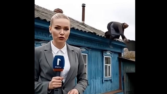 Смешные видео