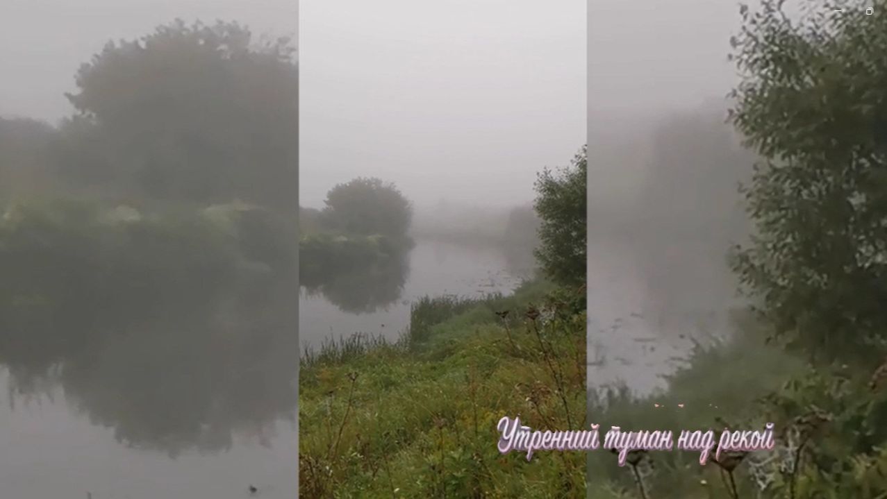 Дачное