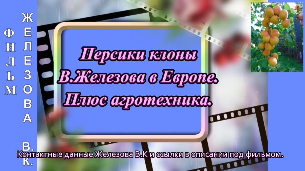 Реальные сады людей.