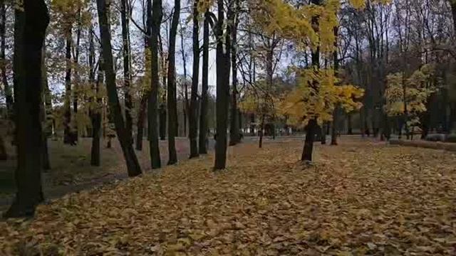АКУСТИЧЕСКИЕ МЕМУАРЫ - Vol.2  (1986 - 2025)