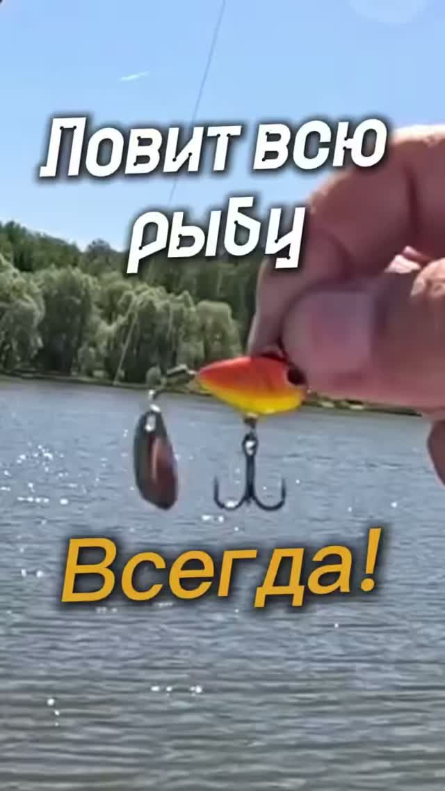 Тейл-спиннер ловит всегда и везде