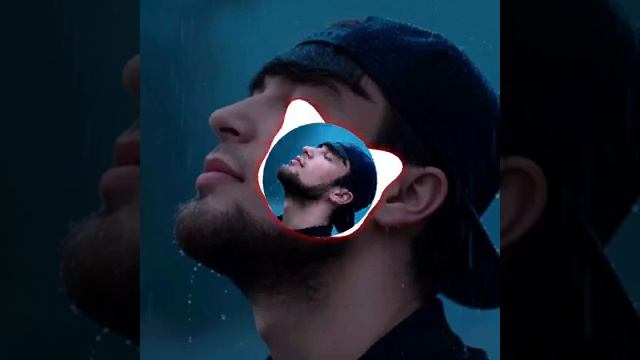 Берн бол бинмт якборак