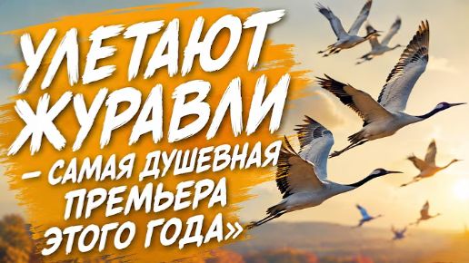 ШАНСОН ДЛЯ   СЕРДЦА, ДУШИ И ХОРОШЕГО НАСТРОЕНИЯ!