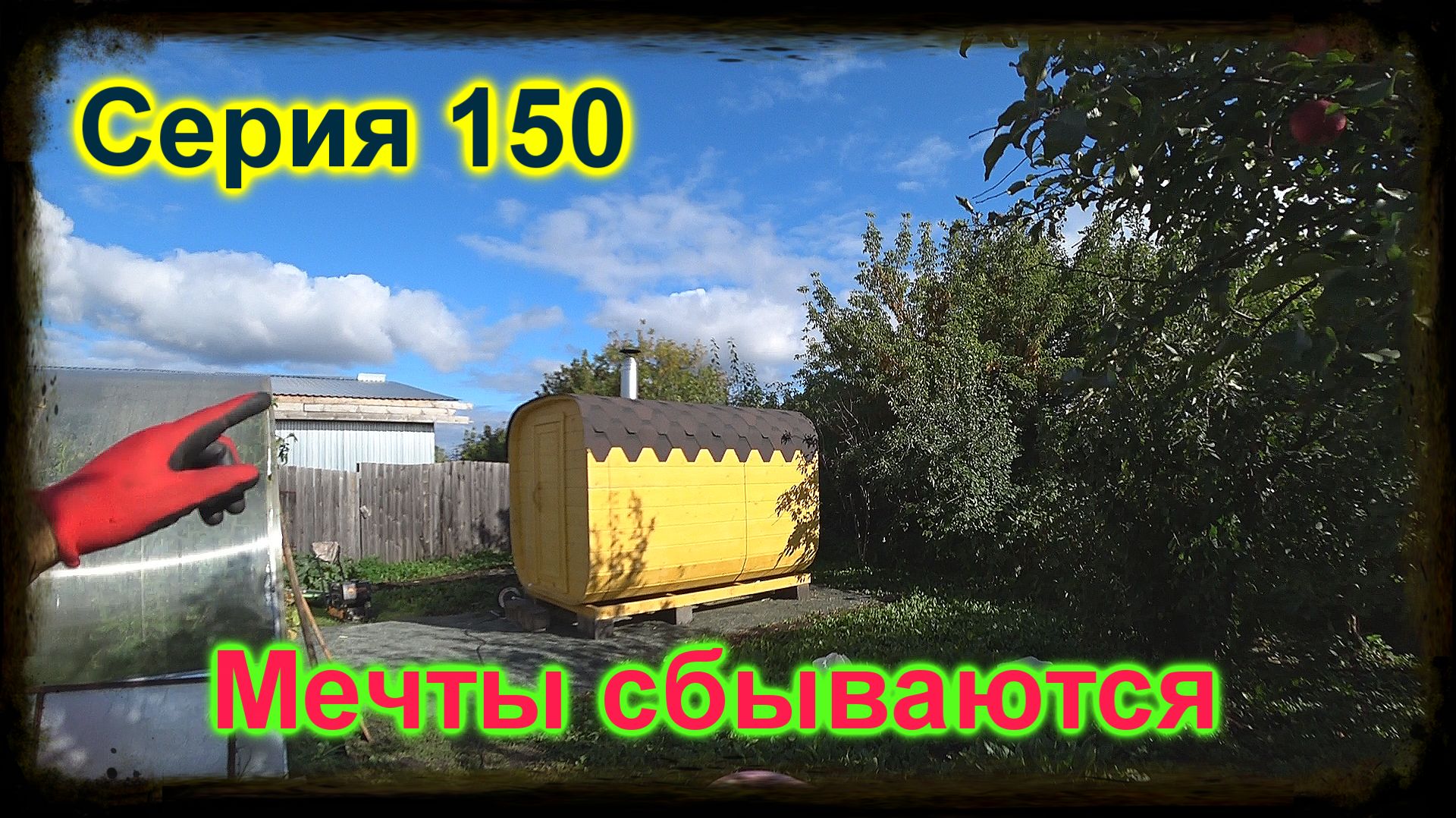Мечты сбываются. Что делать с ивермеком. Серия 150