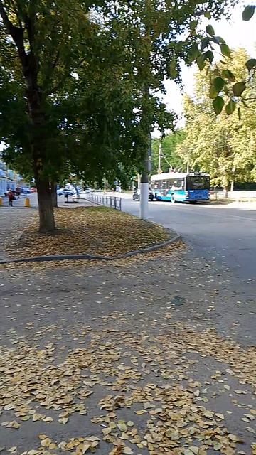 Осенний пейзаж 🏙️🏙️🏙️