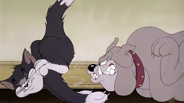 Том и Джерри все серии