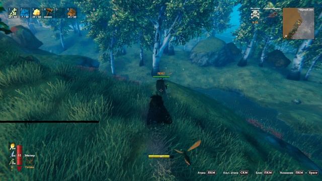 valheim