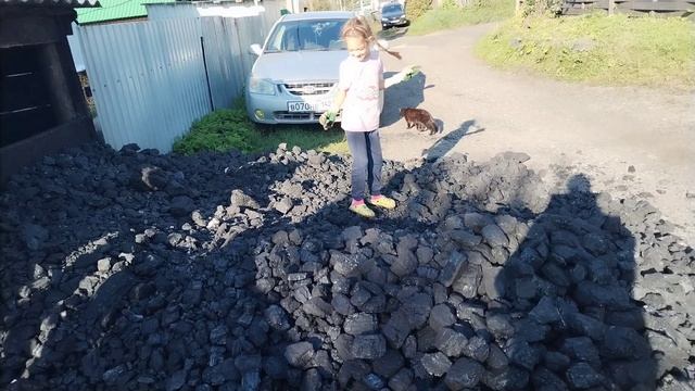 Жизнь в деревне. 🏡 Привезли дрова и уголь.Обошлось в 30000 рублей.😱
