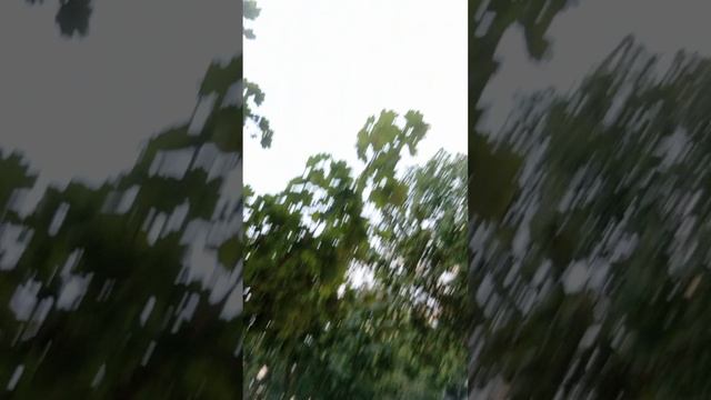 БЛОГ N^369 BELGOROD RUSSIA 🇷🇺