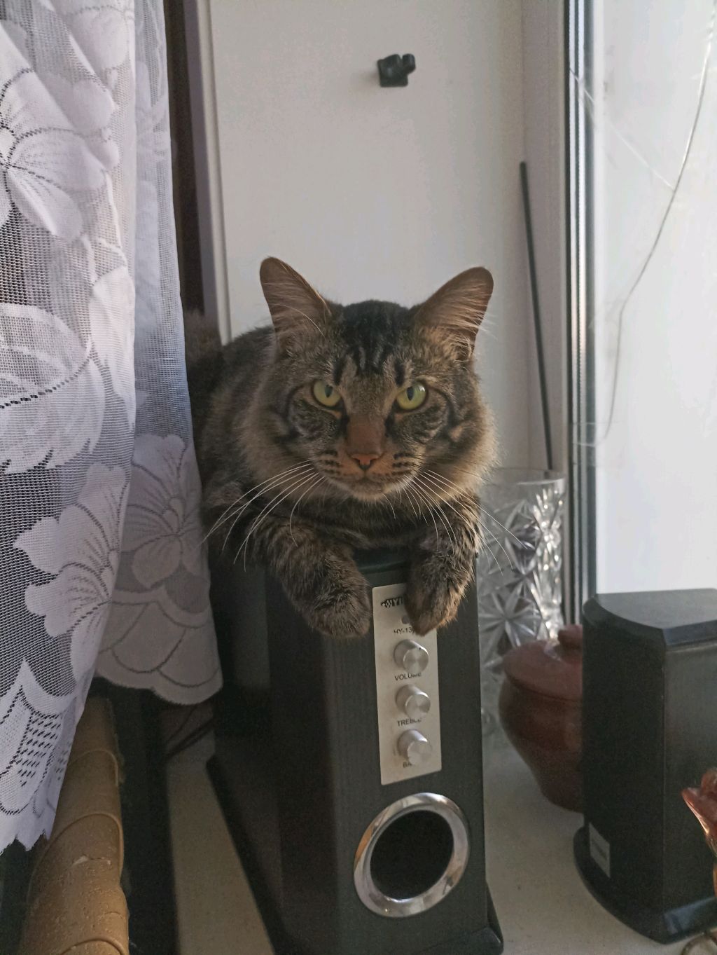 мс
