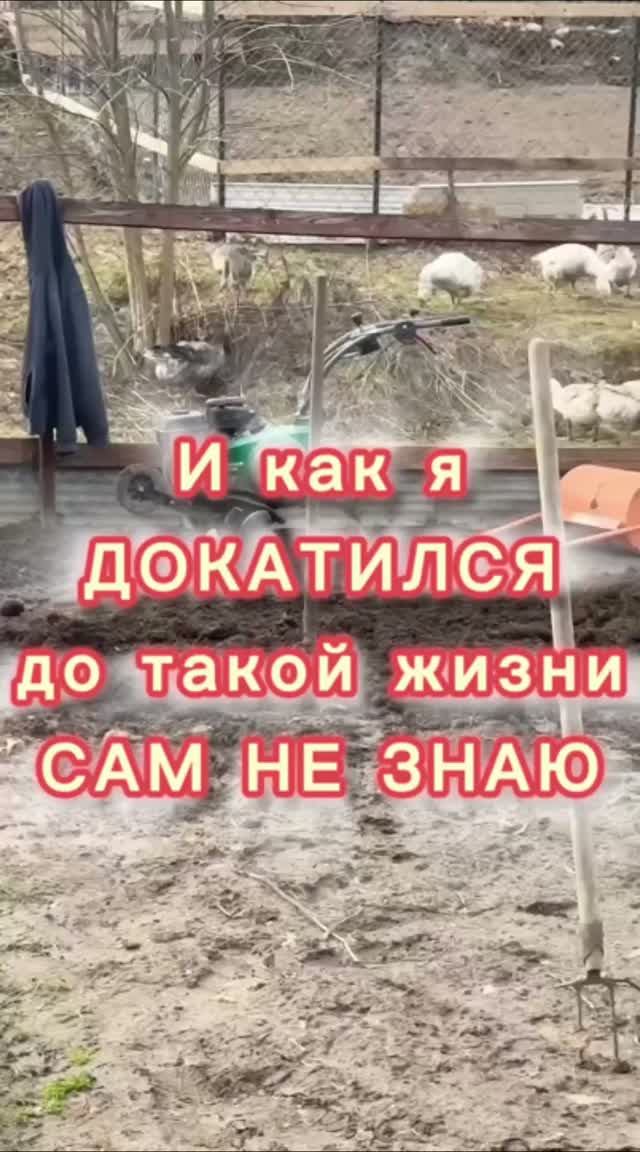 ПроЦветы