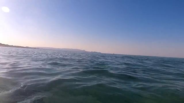 ДИКИЕ ДЕЛЬФИНЫ ПОД ВОДОЙ