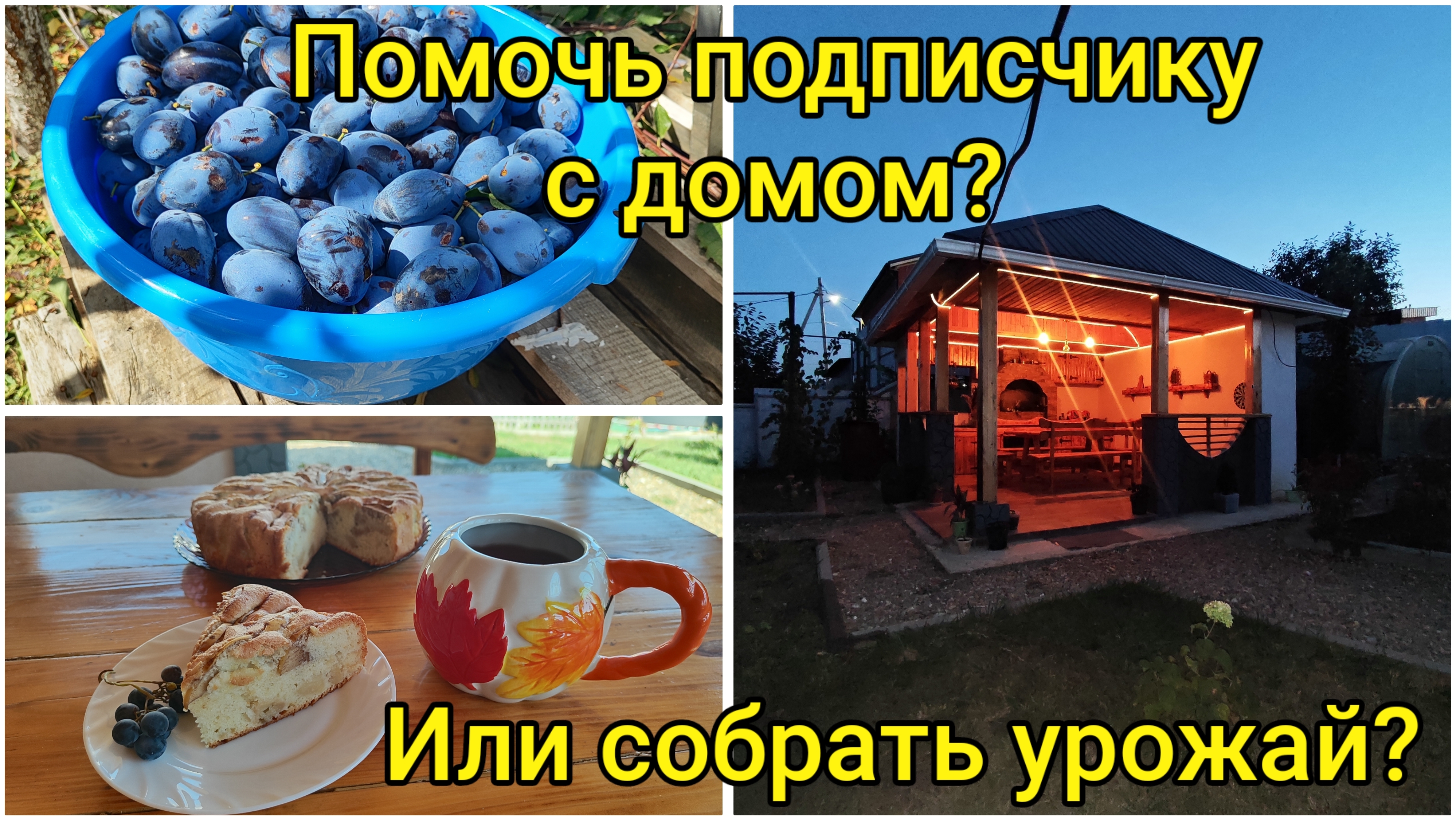 Влоги с ЮГА🌞 Помочь подписчику с домом или собрать урожай? Успеваем всё и сразу🏡