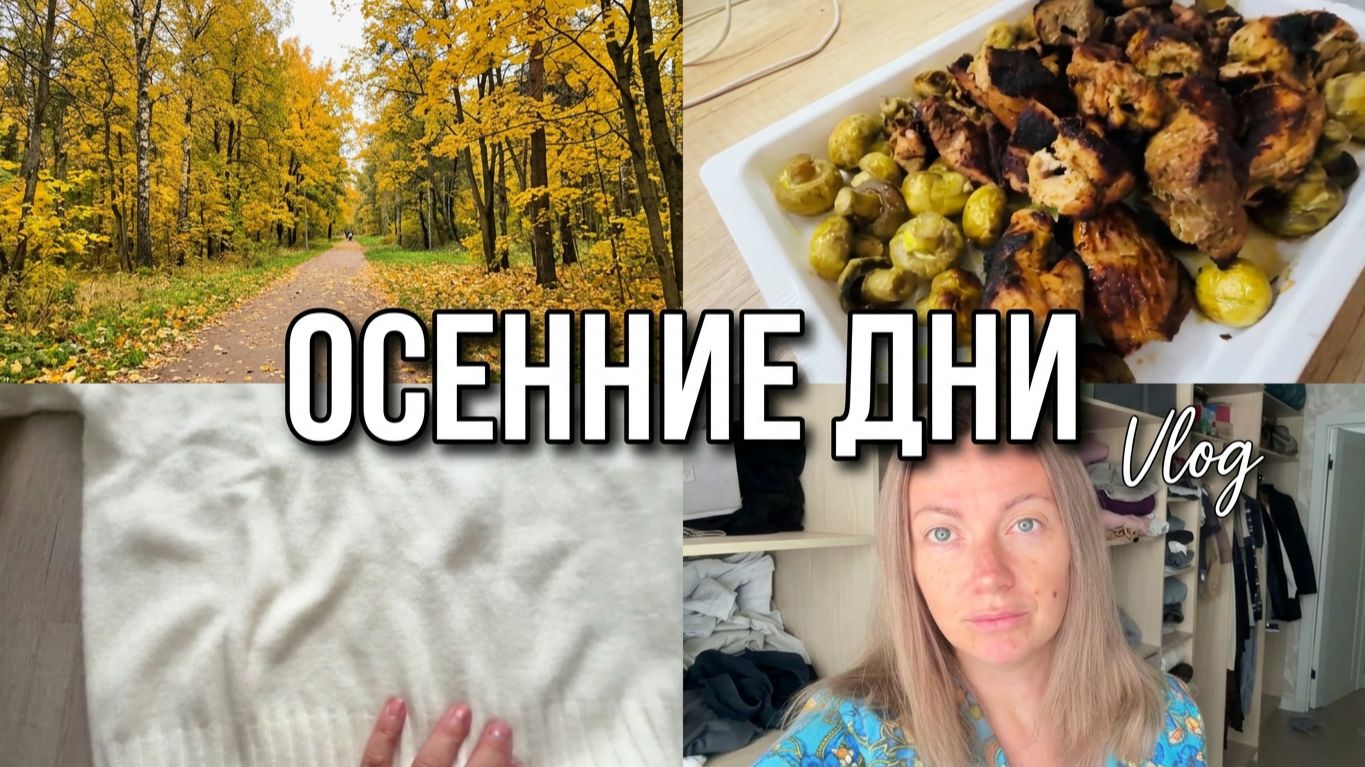 VLOG: Встретили СВЕКРА//Про СЛАДОСТИ//Осенние ПРОГУЛКИ//Шашлык//Дэн Вспомнил ДЕТСТВО//Покупки