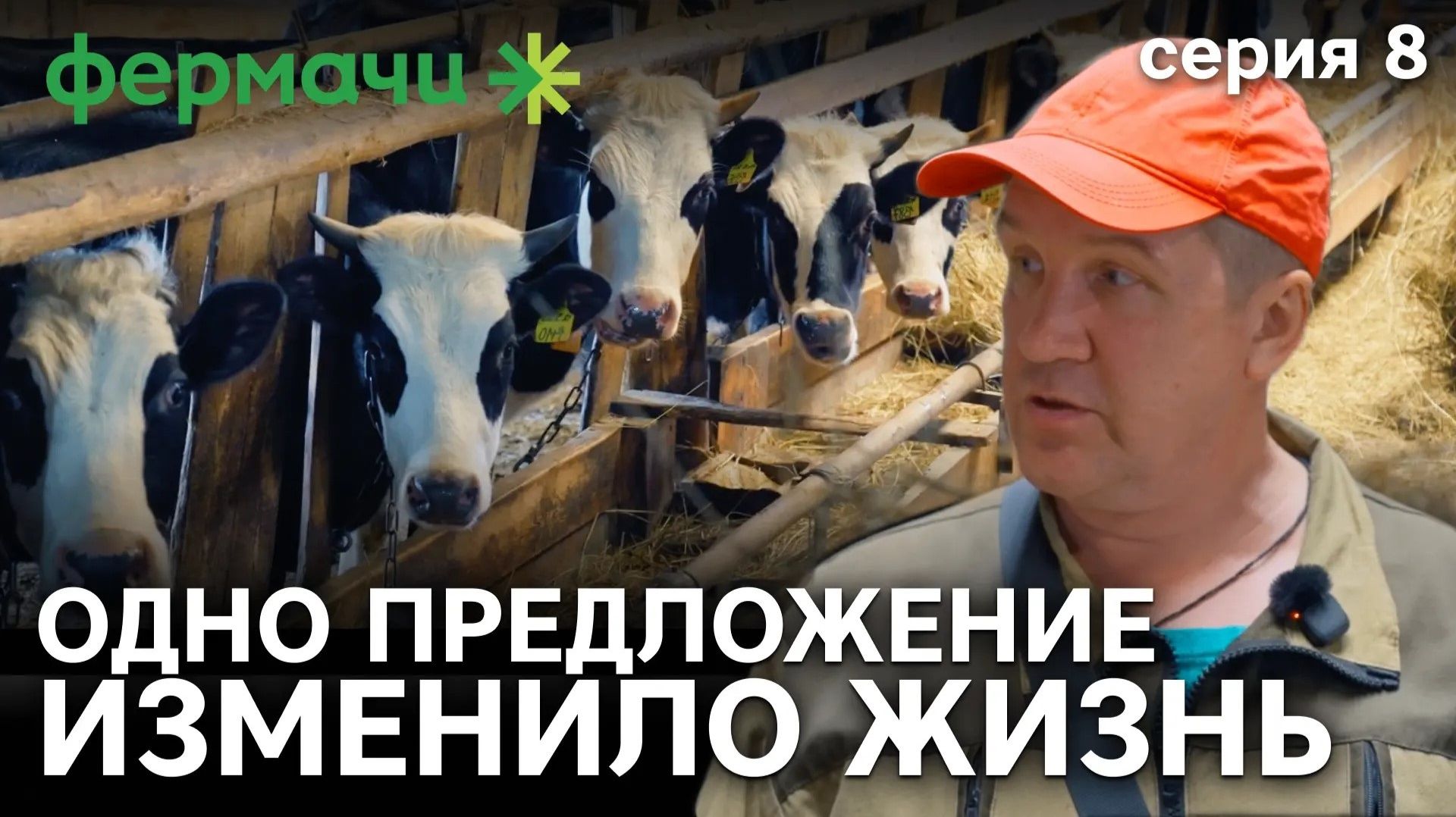 Старая ферма, 116 голов и ярославская порода | Фермачи