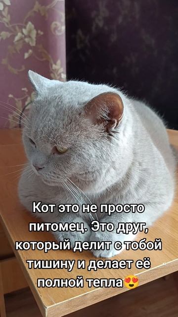 Вилли.