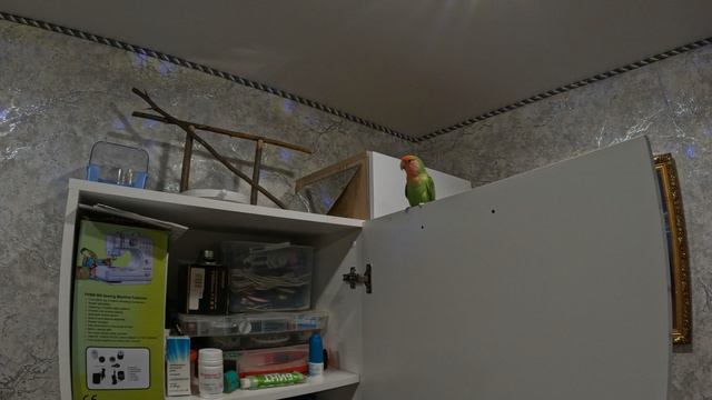 Мои авторские видео.
