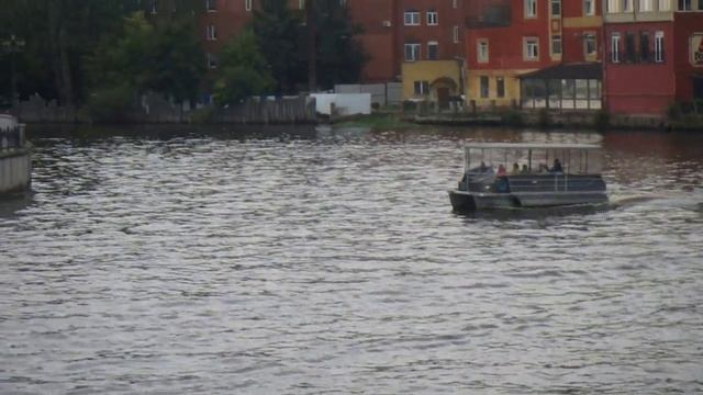 Движение транспорта Калининград река Старая Преголя
