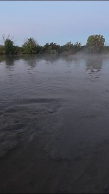 Доброе утро с крупным сазаном. Астрахань.