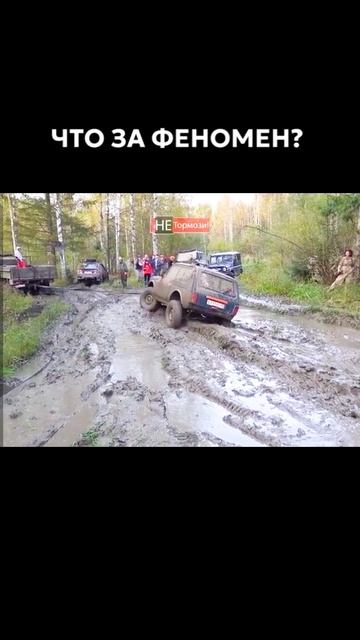 Нива буксует с заглушенным двигателем #нива #ладанива #бездорожье