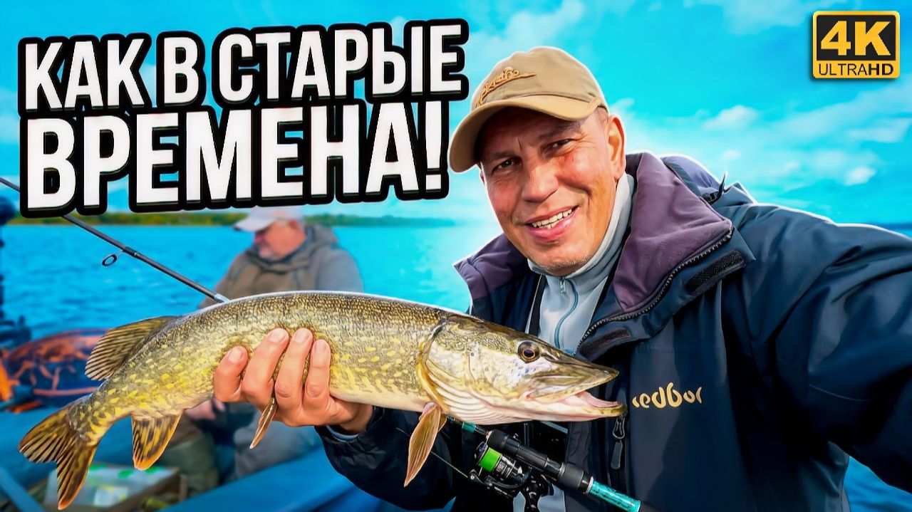 Без ПАНОПТИКСА